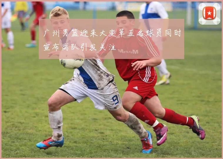 广州男篮迎来大变革五名球员同时宣布离队引发关注